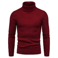 Warm Solid Color Knitted Turtleneck Sweater