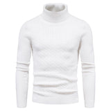 Warm Solid Color Knitted Turtleneck Sweater