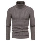 Warm Solid Color Knitted Turtleneck Sweater