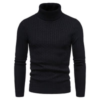 Warm Solid Color Knitted Turtleneck Sweater