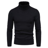 Warm Solid Color Knitted Turtleneck Sweater