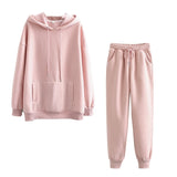 Women thick fleece 100% cotton suit 2 pieces sets hoodies sweatshirt and pants